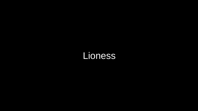 Lioness